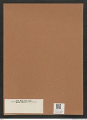 Diatomeae indet. Zeichnungen Sammlung Grunow Mappe 02985 (Herbarium_W_Grunow_drawings_Folder_02985)